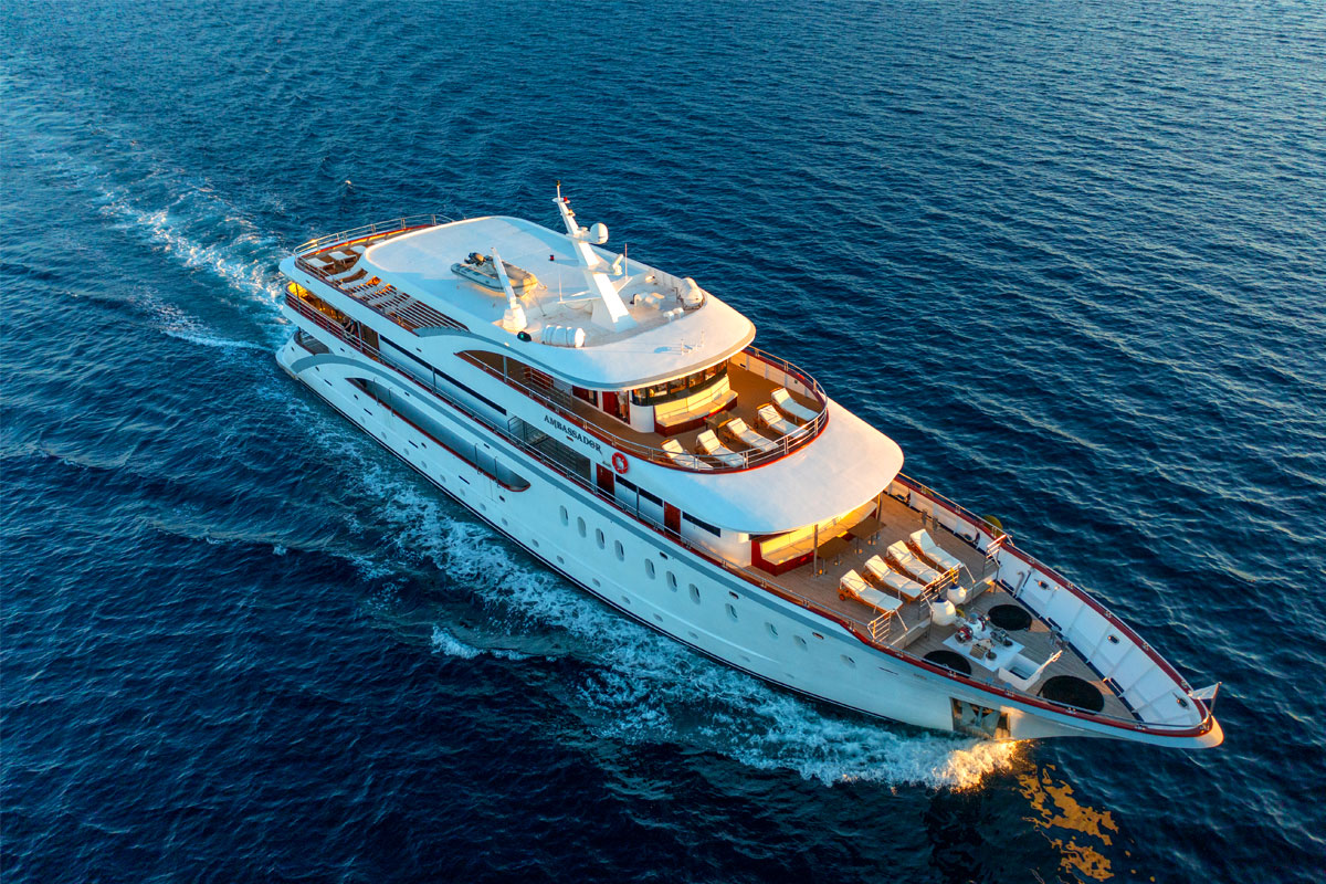 MS Ambassador-10