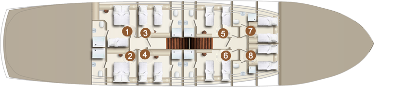 Deckplan  MS Summer Standarddeck