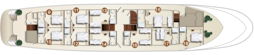 Deckplan  MS Summer Hauptdeck