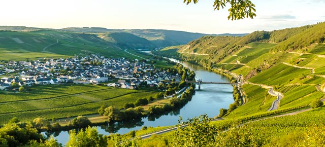 Moselzauber